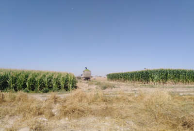 فروش ۲۰ هکتار زمین باغی و زراعی با چاه آب در مشهد