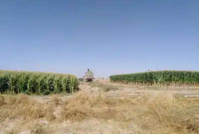 فروش ۲۰ هکتار زمین باغی و زراعی با چاه آب در مشهد