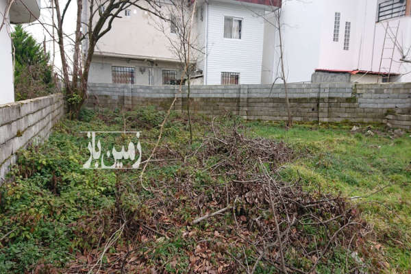 زمین ۵۵۰ متری بر اصلی شمع جاران درزیکلا-4