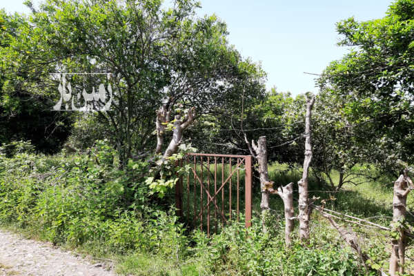 زمین سه نبش با سند تک برگ در سلیمان آباد چلاسر-1