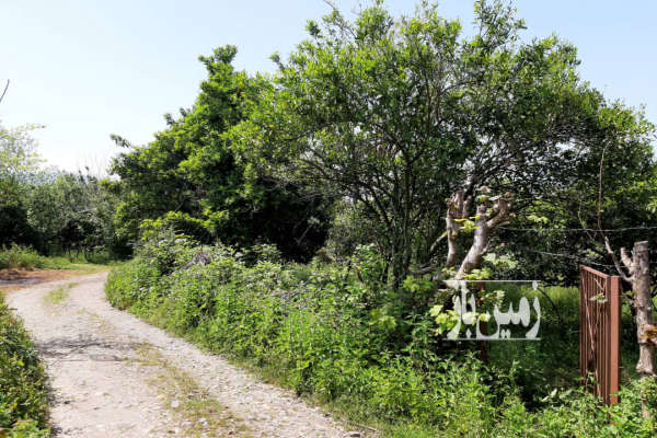 زمین سه نبش با سند تک برگ در سلیمان آباد چلاسر-2