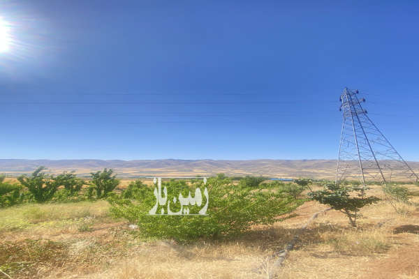 هشت و نیم هکتار زمین کشاورزی با درختان میوه و آب چشمه طبیعی-1