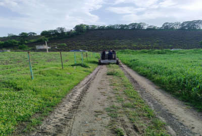 زمین باغ کشاورزی درختان گردو دارای چاه آب