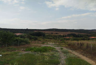 زمین ۵۳۰ متری در مهدشت با فاصله ۵ دقیقه ای از ساری