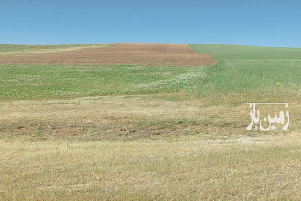 فروش ۷هکتار زمین کشاورزی دیمی شهرسقز جاده بانه-1