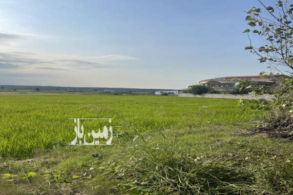 زمین ۴۰۰ متر بر خیابان اصلی کلوده روستای ناصرآباد-2