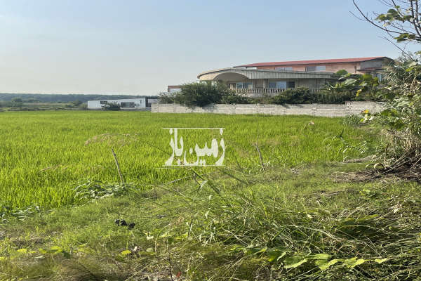 زمین ۴۰۰ متر بر خیابان اصلی کلوده روستای ناصرآباد-3