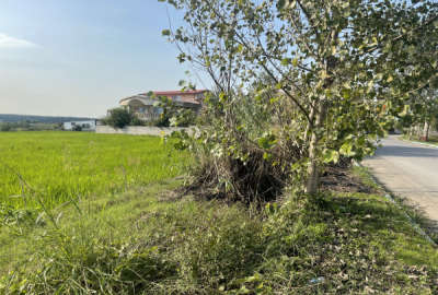 زمین ۴۰۰ متر بر خیابان اصلی کلوده روستای ناصرآباد