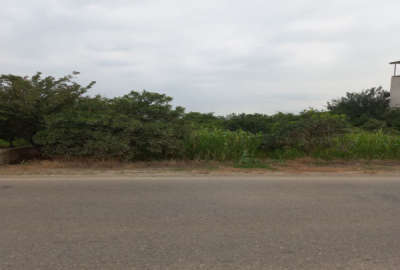 زمین باغی داخل بافت لب جاده اصلی دور دیوار جاده حبیبی