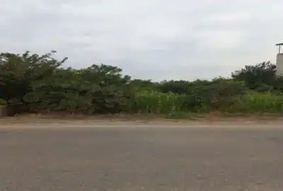 زمین باغی داخل بافت لب جاده اصلی دور دیوار جاده حبیبی