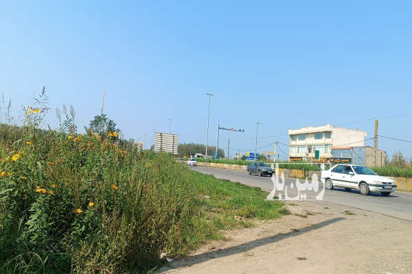 زمین تجاری در جاده اصلی لنگرود به رودسر-1