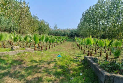 زمین با سند و پروانه در رودسر ۲۲۰۰ متر