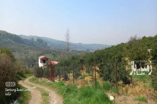 زمین ۱۷۰متر باغی کوچه اصلی ۶متری کوچه فرعی ۴متری-2