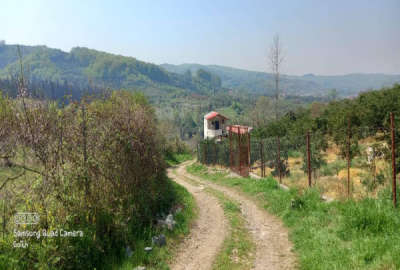 زمین ۱۷۰متر باغی کوچه اصلی ۶متری کوچه فرعی ۴متری