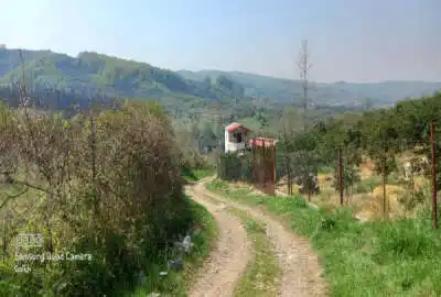 زمین ۱۷۰متر باغی کوچه اصلی ۶متری کوچه فرعی ۴متری