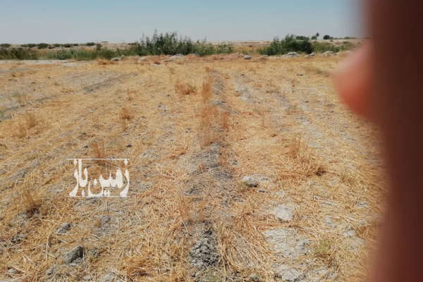 زمین کشاورزی جهت خونه باغ روستای بایمان عریض-1