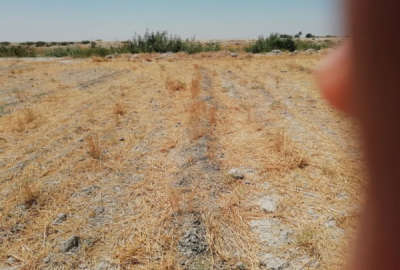 زمین کشاورزی جهت خونه باغ روستای بایمان عریض