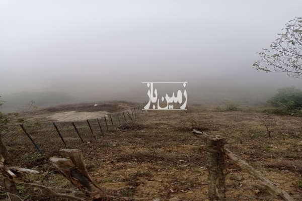 زمین کشاورزی وباغ فندق در اشکورات شوئیل ۴۰۰۰ متر-1