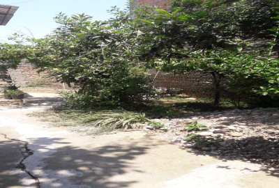 باغچه در هلی چال روستای مرمت ۴۲۰ متر زمین