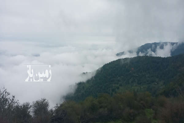 زمین مسکونی ۳۶۰ متر جنگلی مناسب پرورش ماهی قزل-3