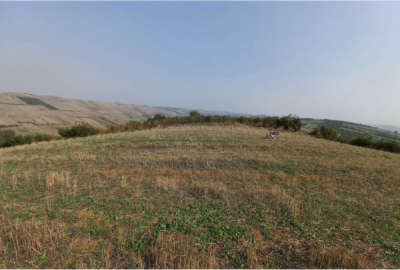 زمین کشاورزی مناسب ویلاسازی ویوعالی روستای جامخانه