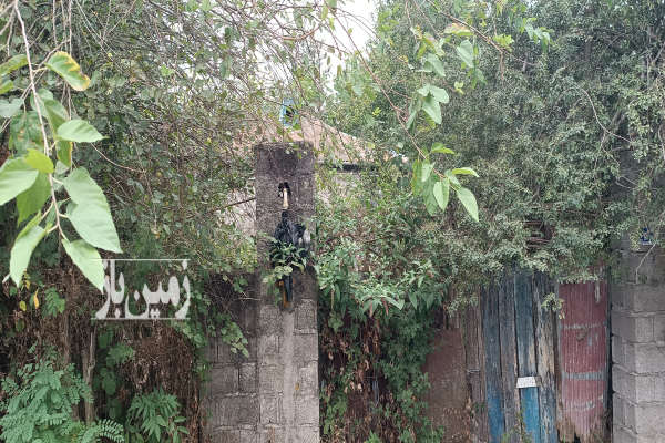 زمین مزایده ای در لیالستان ازطوابع لاهیجان-4