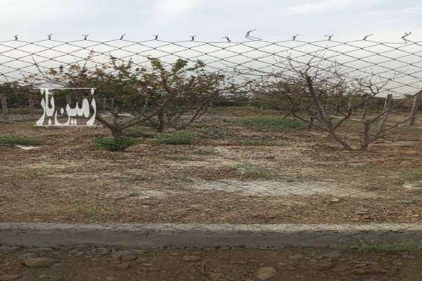 زمین ۲۷۰ متری جاده آزادگان اول فیروز بهرام شهرک شهاب شهر-2