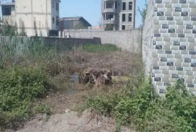 زمین ۵۴۰ متری کوچصفهان خیابان وحدت