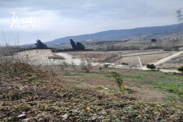 زمین مسکونی داخل بافت روستای پایین کولا ۵۰۰ متر-2