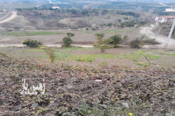 زمین مسکونی داخل بافت روستای پایین کولا ۵۰۰ متر-4