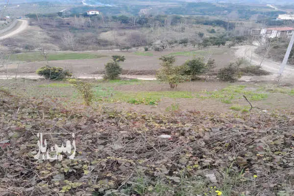 زمین مسکونی داخل بافت روستای پایین کولا ۵۰۰ متر - تصویر 4
