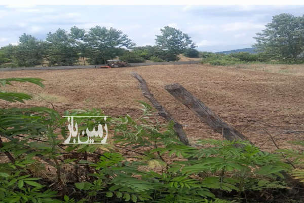 زمین خارج بافت واقع در روستای خوش آب وهوای پایین کولا-1