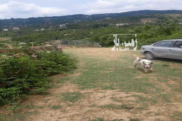 زمین خارج بافت واقع در روستای خوش آب وهوای پایین کولا-2