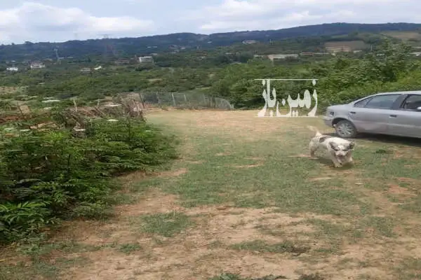 زمین خارج بافت واقع در روستای خوش آب وهوای پایین کولا - تصویر 2