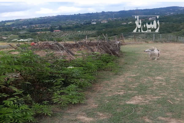 زمین خارج بافت واقع در روستای خوش آب وهوای پایین کولا-3