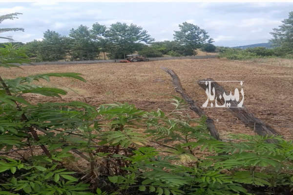 زمین خارج بافت واقع در روستای خوش آب وهوای پایین کولا-4