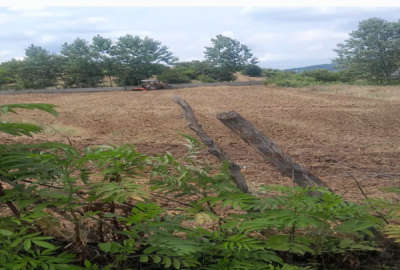 زمین خارج بافت واقع در روستای خوش آب وهوای پایین کولا