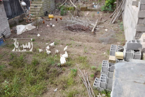 زمین بین میدان نیروی دریایی و امام حسین ۱۷۵ متر-3