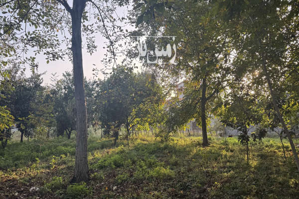 زمین مسکونی ۷۰۰ متری در اسالم خلیف آباد-3