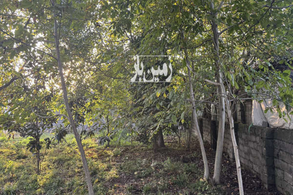 زمین مسکونی ۷۰۰ متری در اسالم خلیف آباد-4