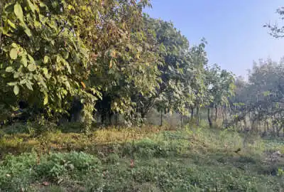 زمین مسکونی ۷۰۰ متری در اسالم خلیف آباد