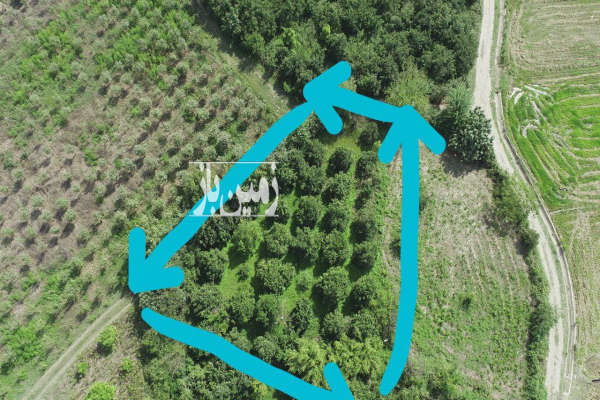 باغ در جاده نظامی روستای سوخته کلا ۱۱۰۰ متر-2