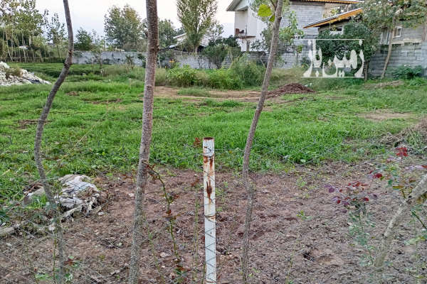 یک قطعه زمین مسکونی بر ۱۲ متر شهید بقایی لشکاجانی سفلی-1