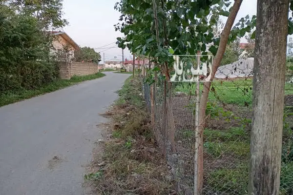 یک قطعه زمین مسکونی بر ۱۲ متر شهید بقایی لشکاجانی سفلی - تصویر 3