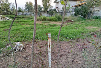 یک قطعه زمین مسکونی بر ۱۲ متر شهید بقایی لشکاجانی سفلی