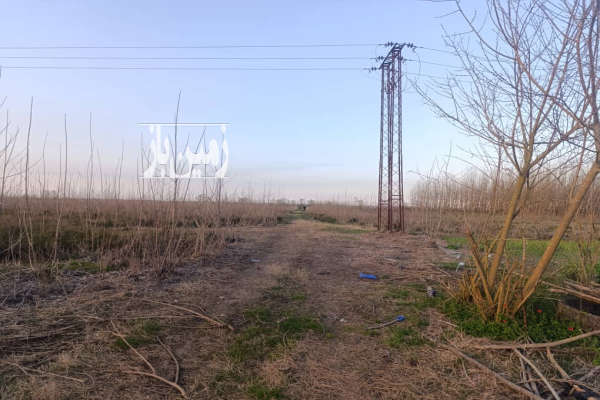 زمین واقع در آبکنار کاربری باغ دارای سند تک برگ سبز-2