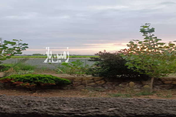 زمین ۱۵۰ متری در کمربندی امیرکلا فاصله کم تا بر اصلی-3