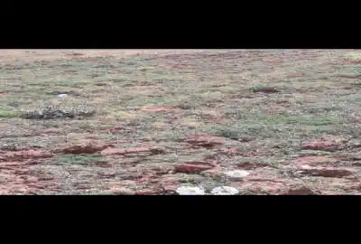 زمین ۲۵۰متری چسبیده به محدوه شهری