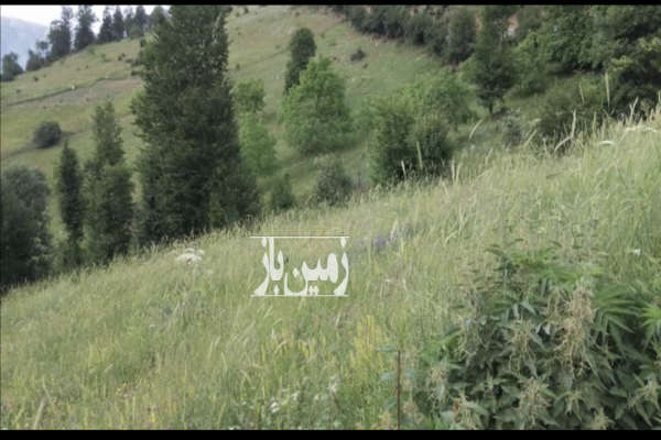زمین کشاورزی ییلاقات دالخانی داخل روستای آرمو-1