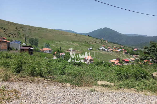 زمین ییلاقی داخل بافت در کوه اسطلخ پلسفید سوادکوه-1